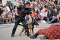 Polizeishow   061